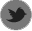 Social
